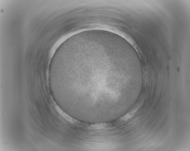 X0000074971535200609291925