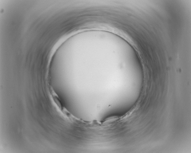 X0000074971536200609291925