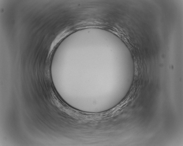 X0000075330004200609080742