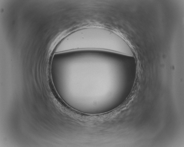 X0000075330007200609080741