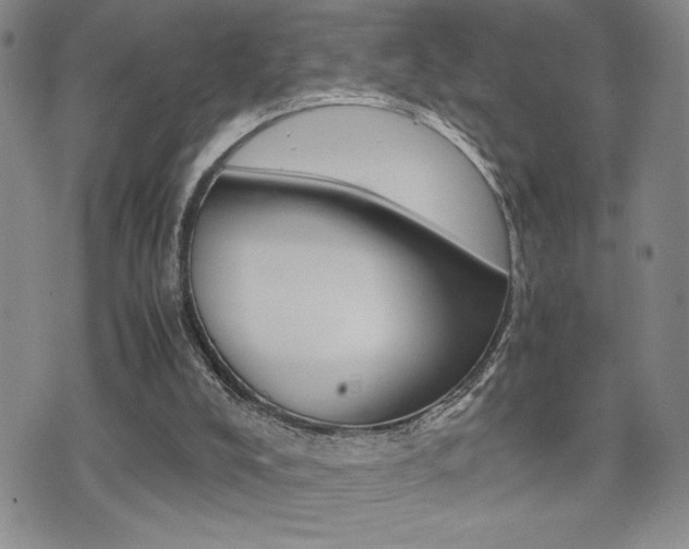 X0000075330008200609080741