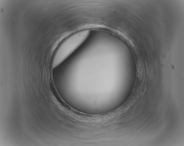 X0000075330015200609080741