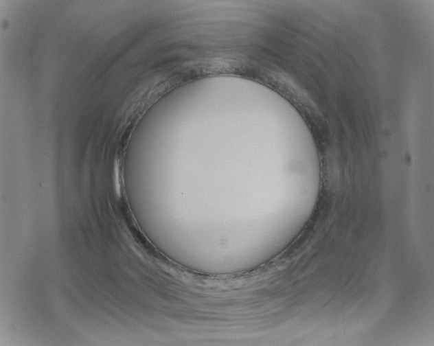 X0000075330022200609080741