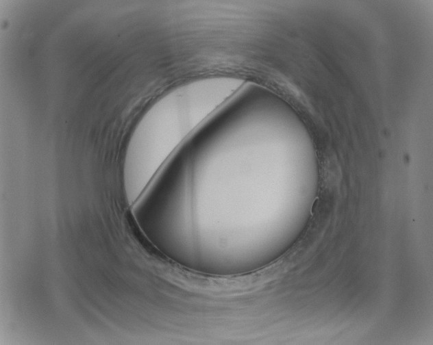X0000075330027200609080741