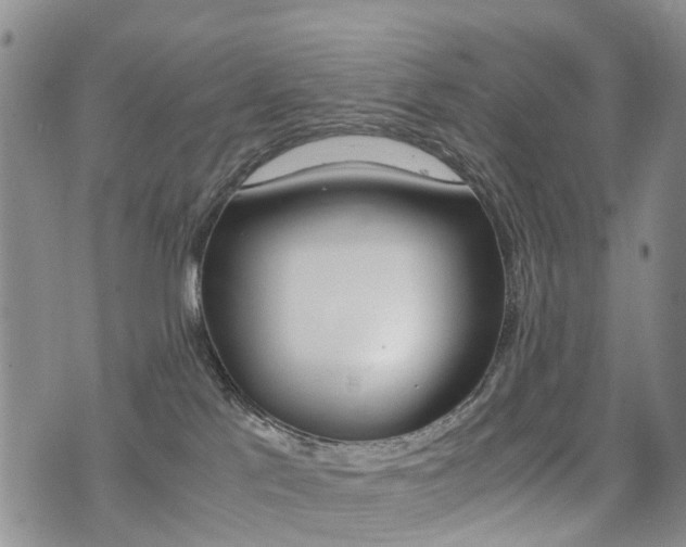 X0000075330041200609080741