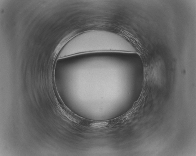 X0000075330051200609080740