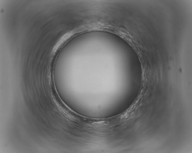 X0000075330054200609080740