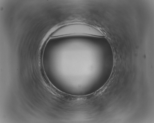 X0000075330056200609080740