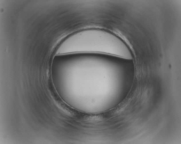 X0000075330063200609080740