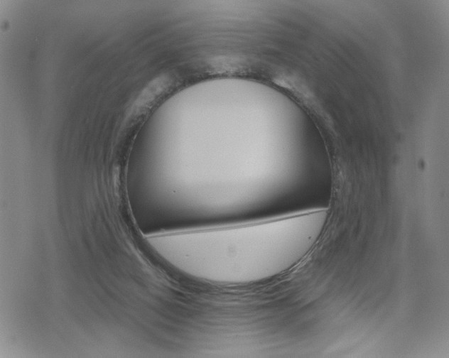 X0000075330066200609080740