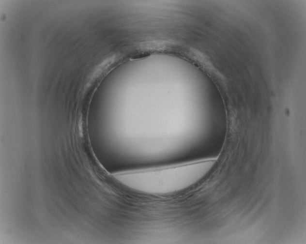 X0000075330068200609080740