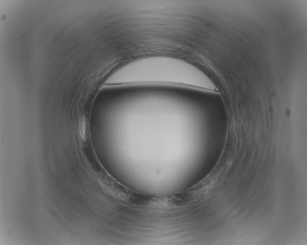 X0000075330076200609080740