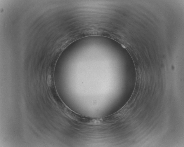 X0000075330080200609080741