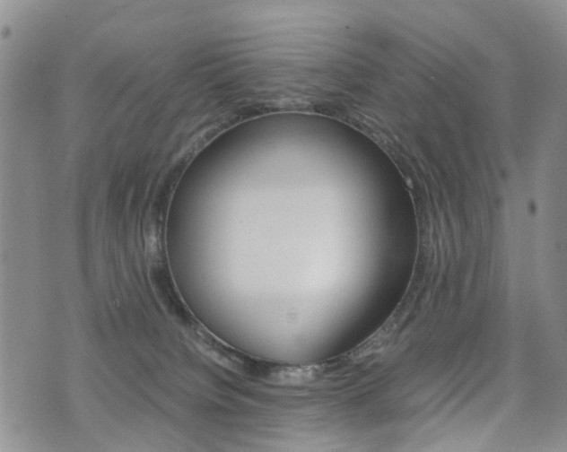 X0000075330084200609080741
