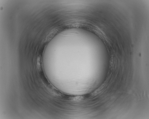 X0000075330122200609080740
