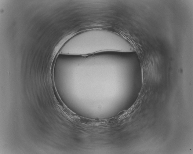 X0000075330147200609080739
