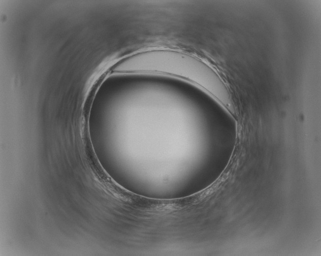 X0000075330152200609080739