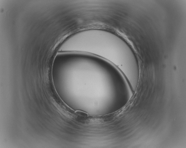 X0000075330154200609080739