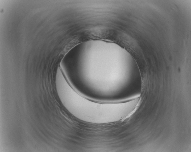 X0000075330186200609080739