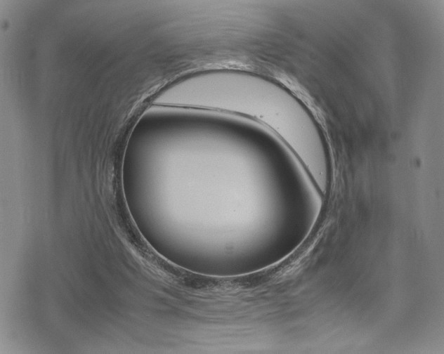 X0000075330201200609080738