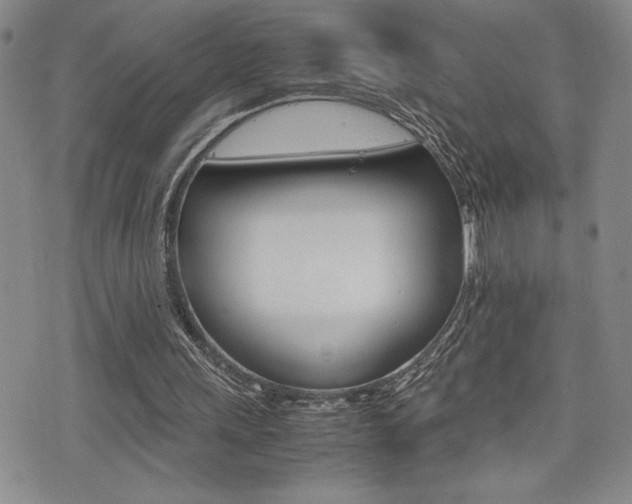 X0000075330243200609080737
