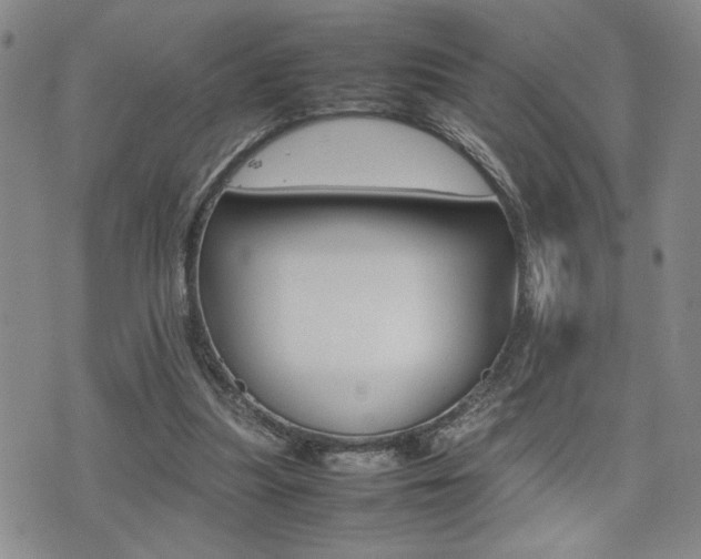 X0000075330251200609080737