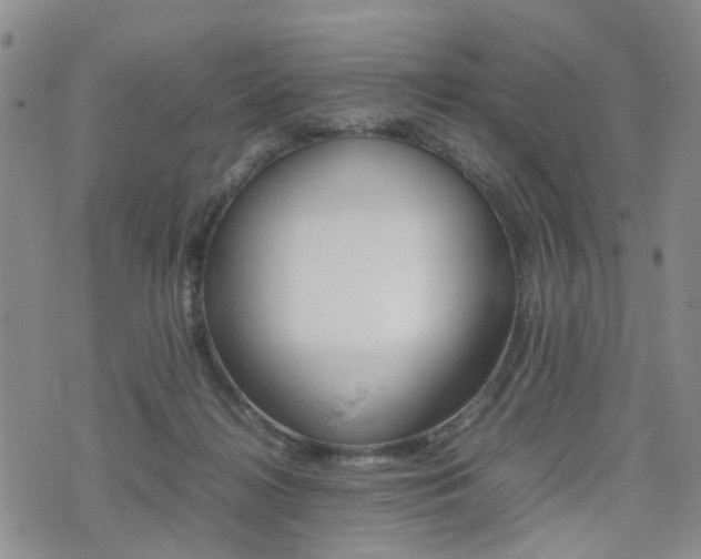 X0000075330268200609080737