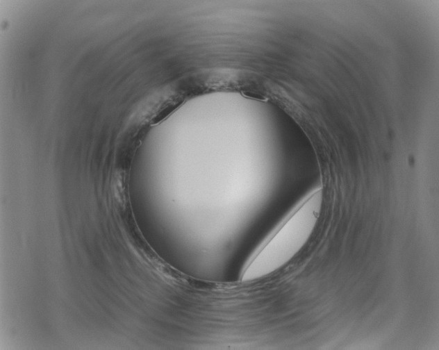 X0000075330280200609080738