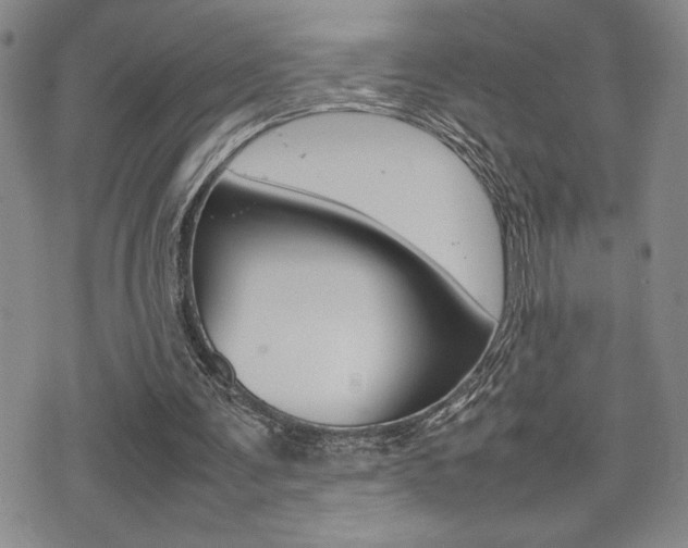 X0000075330291200609080737