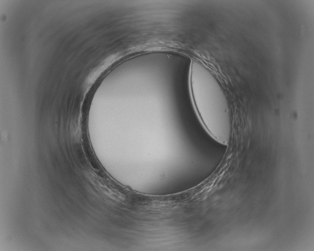 X0000075330292200609080737