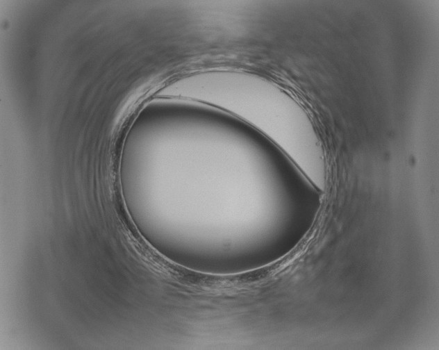 X0000075330293200609080737