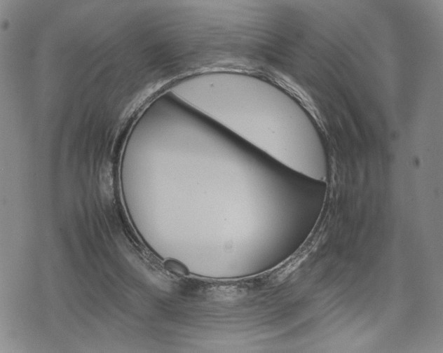 X0000075330298200609080737