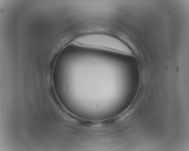 X0000075330309200609080737