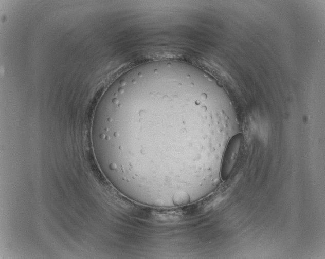 X0000075330359200609080736
