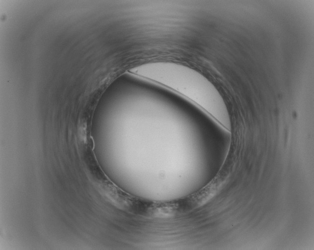 X0000075330368200609080736