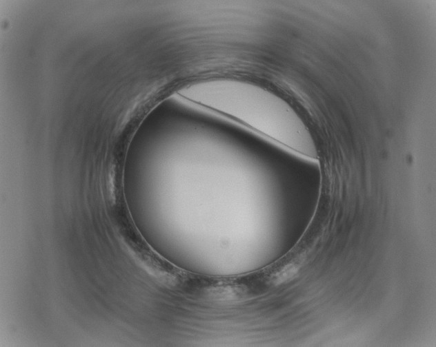 X0000075330404200609080735