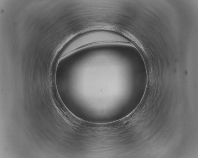 X0000075330436200609080734