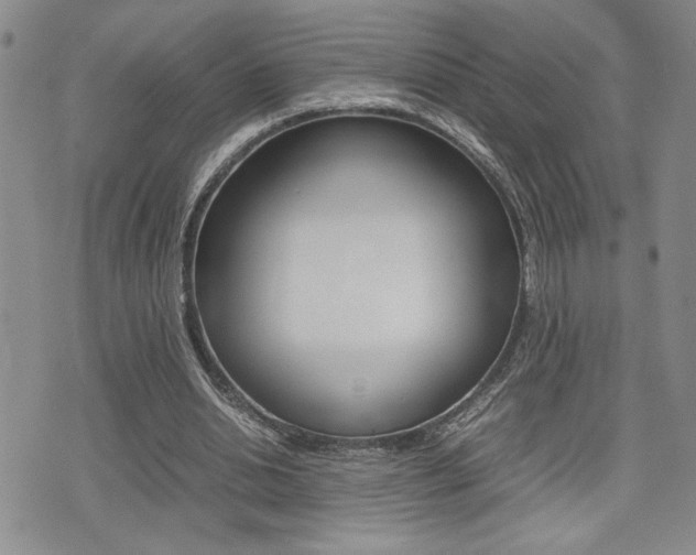 X0000075330438200609080734