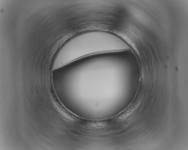 X0000075330445200609080734