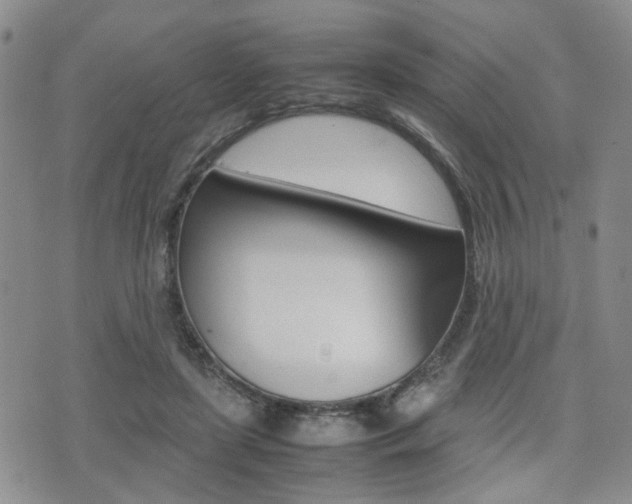 X0000075330451200609080734