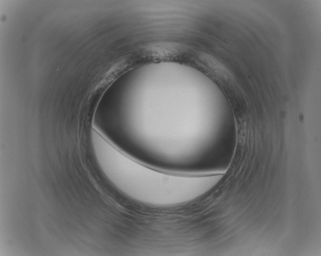 X0000075330456200609080734