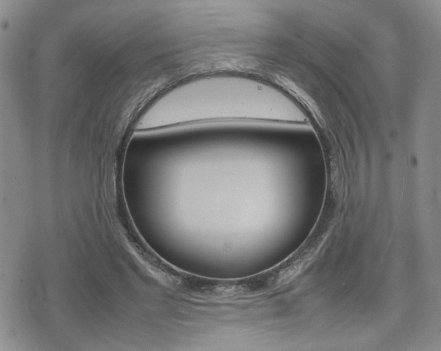 X0000075330493200609080734