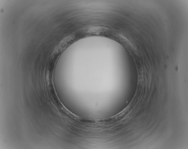 X0000075330504200609080733