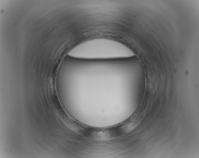 X0000075330506200609080733