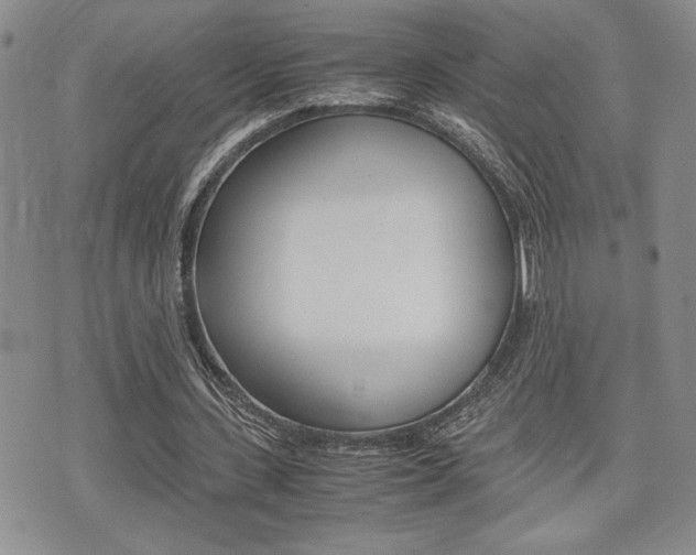 X0000075330531200609080732