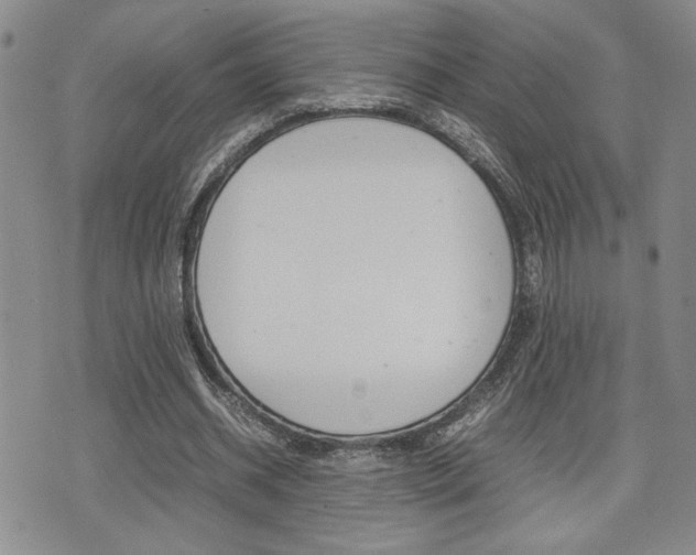 X0000075330534200609080732