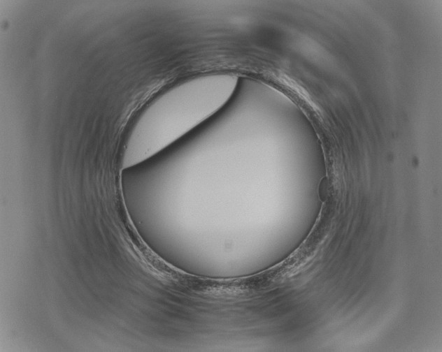 X0000075330537200609080732