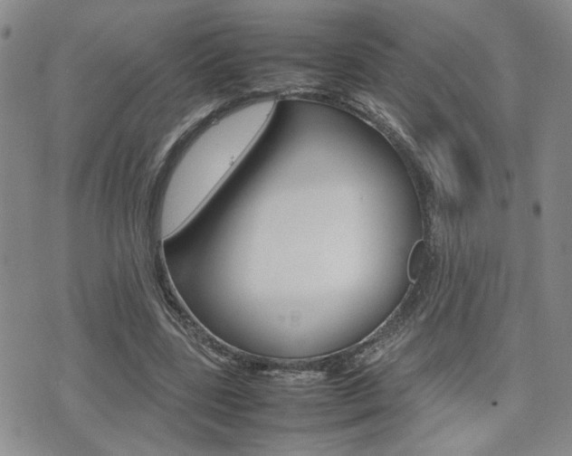 X0000075330539200609080732