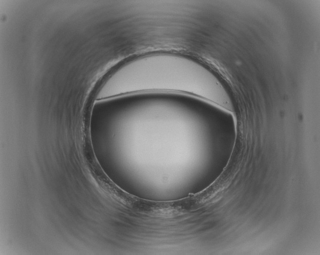 X0000075330540200609080732