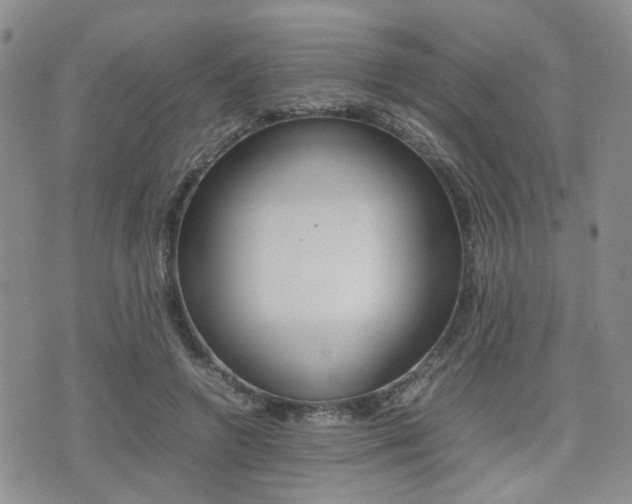 X0000075330546200609080733